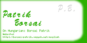 patrik borsai business card